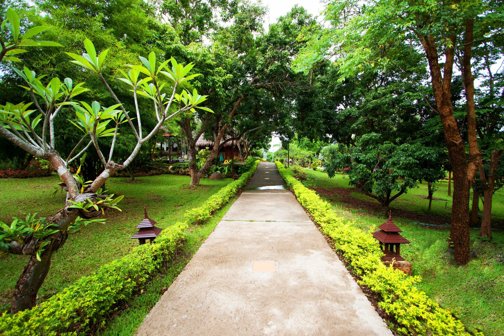 Touch Star Resort - Doi Inthanon Чом Тхонг Экстерьер фото